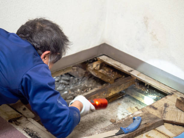 Mold Testing and Removal in Marco Island, FL
