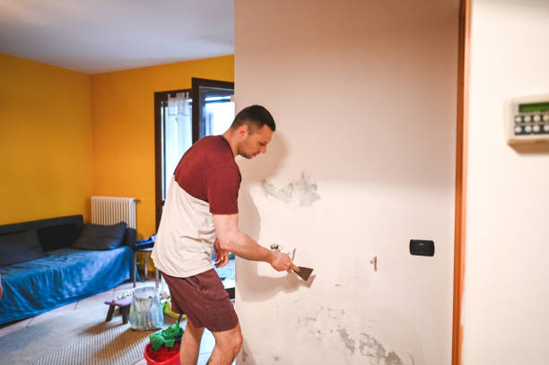 Office Mold Removal Services in Marco Island, FL