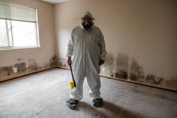 Home Mold Removal in Marco Island, FL